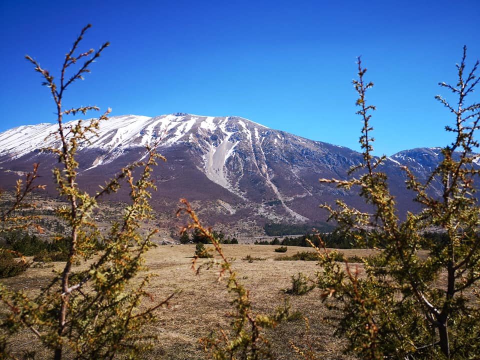 Campo di Giove