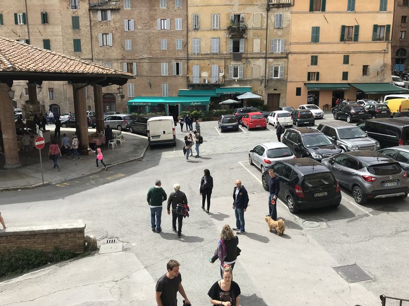 siena il mercato