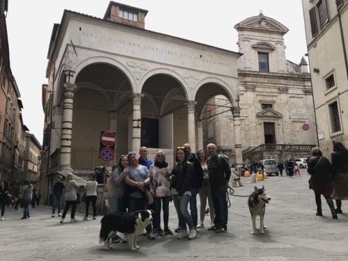 siena città