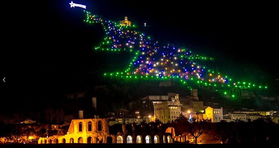 Albero di Gubbio