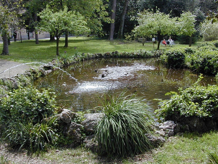 Orto botanico di Pisa